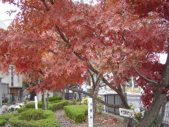 c0052304_2382378.jpg