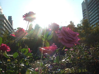 a0007906_1924589.jpg