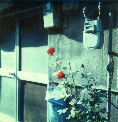 中崎町の風景（４）〜with SX70、そして・・・_f0138409_1655837.jpg