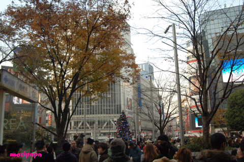 a0094711_9501274.gif