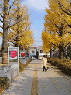 e0080117_2315242.gif