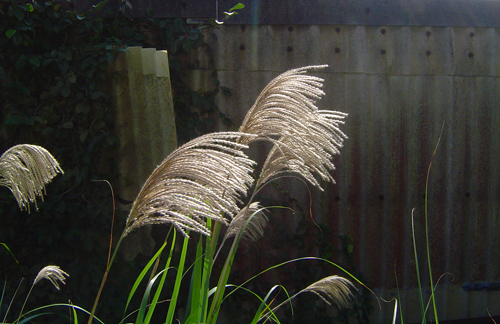 c0057821_15575643.jpg