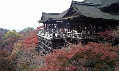 f0068735_23075.jpg