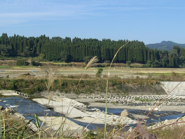 b0029438_0523880.jpg