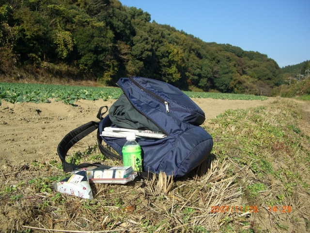 b0029438_0532642.jpg