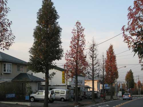 十人十色_b0047738_1761678.jpg
