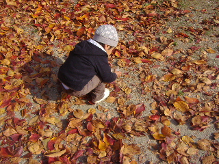 f0102043_14385171.jpg