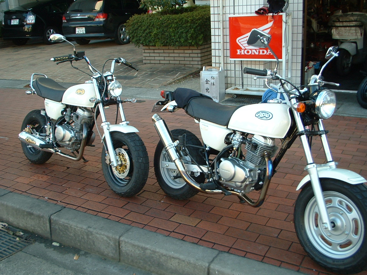 d0035444_1649043.jpg