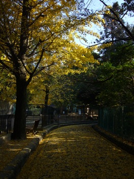 e0100046_15332481.jpg