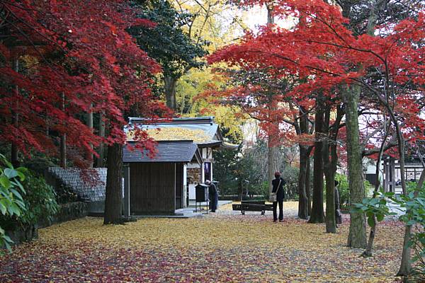 鎮国寺の紅葉_b0105661_22174952.jpg