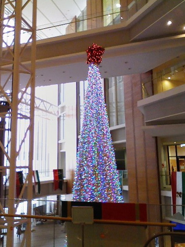 c0009461_335134.jpg