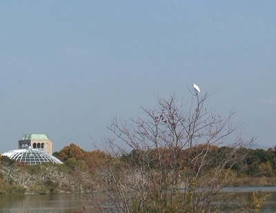 d0083265_19503523.jpg