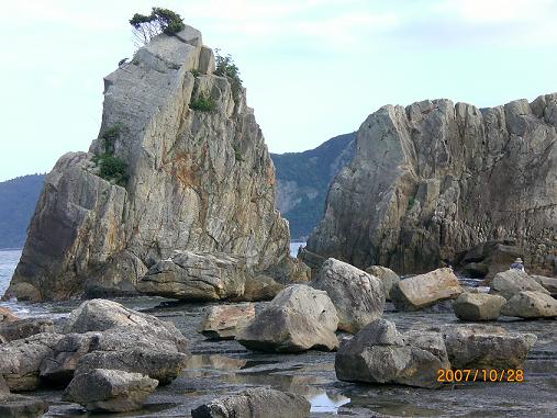 くじら博物館＆橋杭岩＆椿温泉足湯_d0038975_9505249.jpg