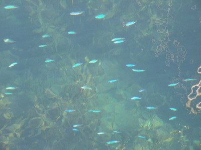 その5_a0040876_138997.jpg