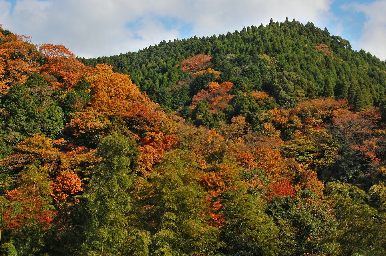 e0071178_205359.jpg