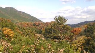 f0144979_20373831.jpg