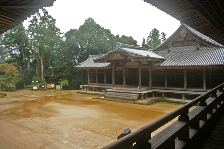 a0045381_21452540.jpg
