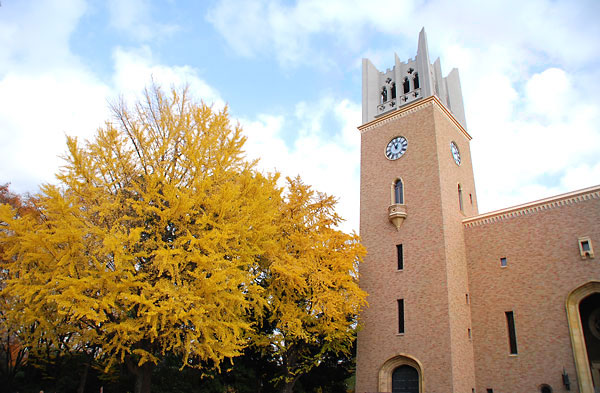 「銀杏散歩」早稲田大学大隈講堂．．_c0009981_17533337.jpg