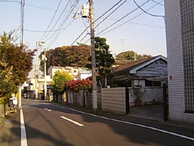 d0009581_70376.jpg