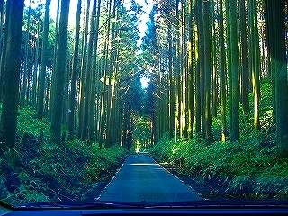 c0153292_22374922.jpg