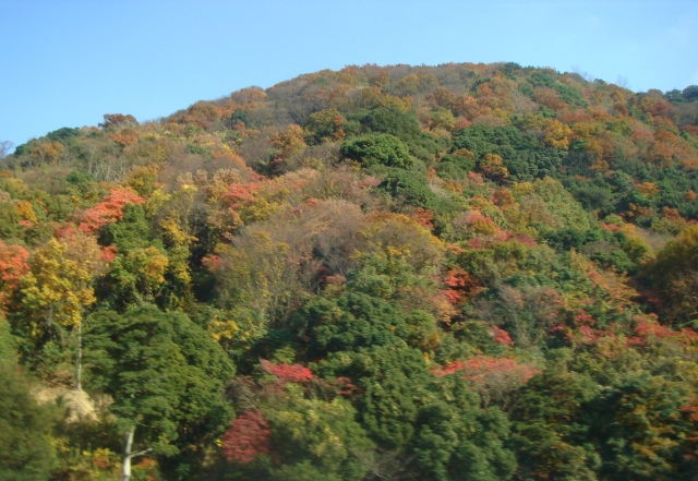 e0111793_11473853.jpg