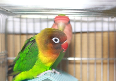 c0118496_17413334.jpg