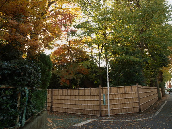 f0062398_2025453.jpg