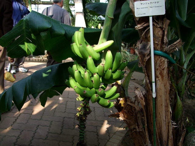 d0079302_2535167.jpg