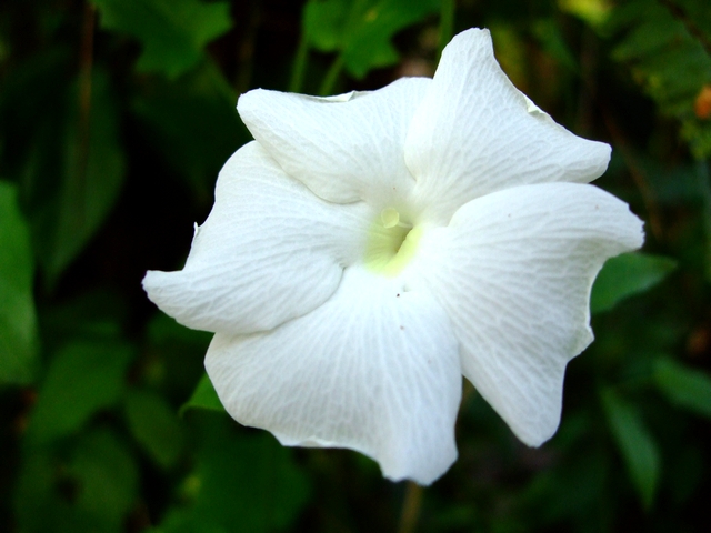 d0079302_2543730.jpg