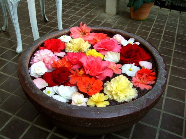 d0079302_384253.jpg