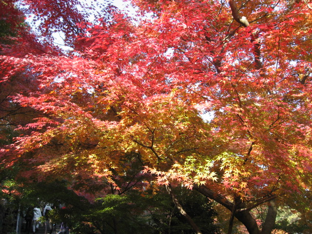 b0110403_2565557.jpg