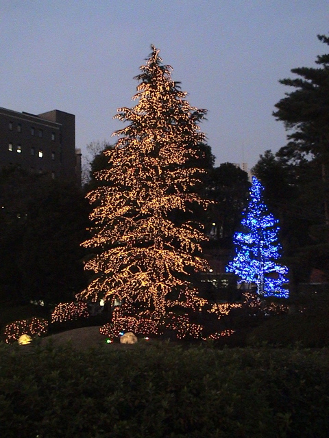 f0052603_225861.jpg