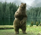 c0061405_14415555.gif