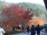 京都紅葉と和スローフード_e0050006_0202764.jpg