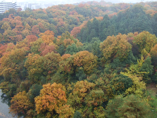 f0152308_19443645.jpg