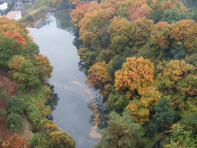 f0152308_1945674.jpg