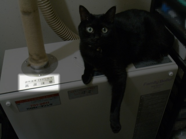 画像一部ハイライト・ジェネレーター_c0025115_15331270.jpg