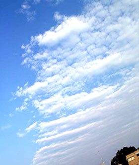 f0036716_239381.jpg