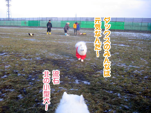 a0044521_2049376.jpg