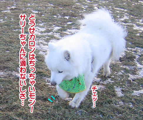 a0044521_20554231.jpg