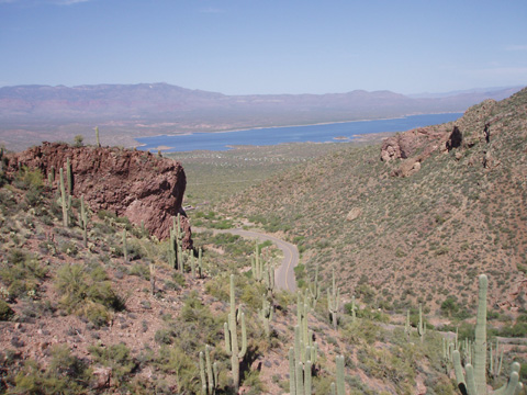a0097322_9575187.jpg