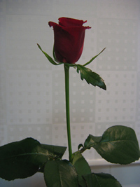 f0147922_23574640.jpg