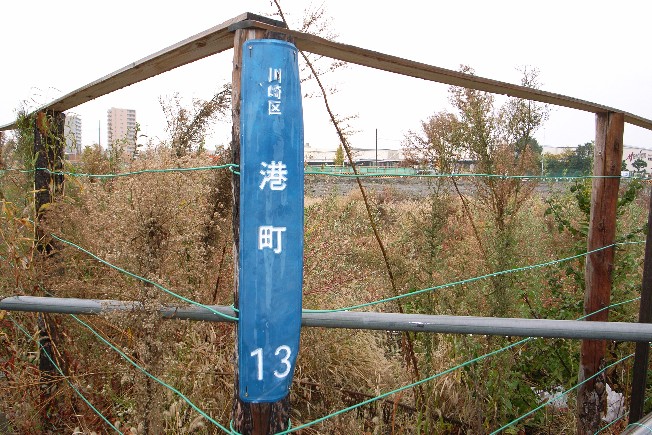 c0125735_14111088.jpg