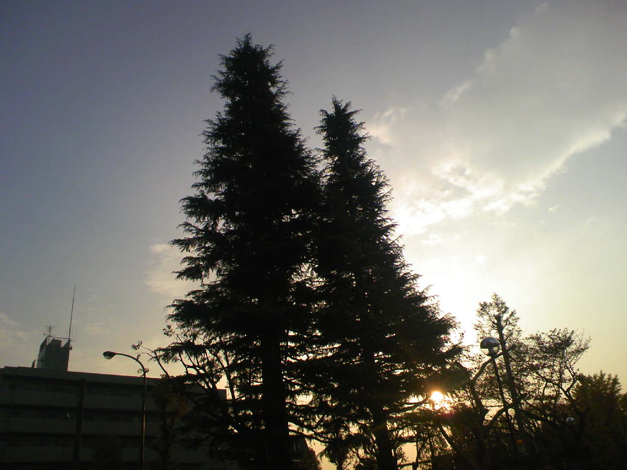 c0125637_826057.jpg