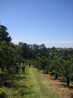 c0106938_12535072.jpg