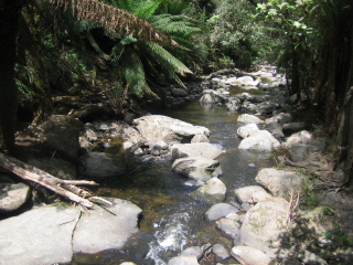 c0106938_1313174.jpg