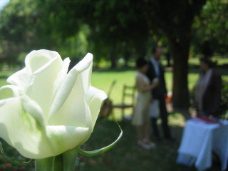 c0106938_13545129.jpg