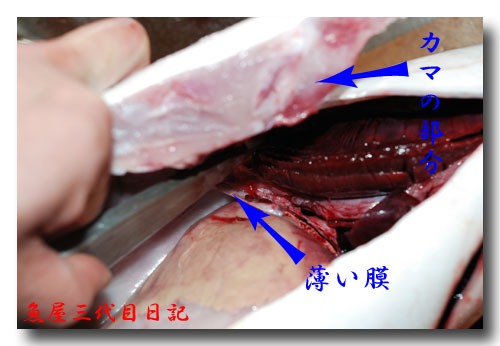 大型魚の捌き方 前編 ハマチやカンパチなど大型魚の捌き方 魚屋三代目日記 大型魚の捌き方 前編 ハマチやカンパチなど大型魚の捌き方 魚屋三代目日記