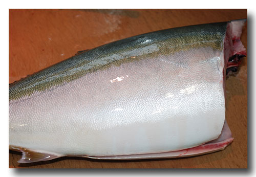 大型魚の捌き方 前編 ハマチやカンパチなど大型魚の捌き方 魚屋三代目日記