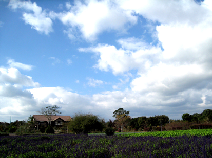 c0068639_23113813.jpg